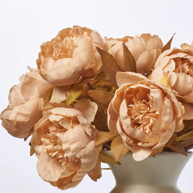 Ensemble de pivoines café au lait dans un vase mat de couleur crème