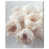 Gallery Wrapped selected
