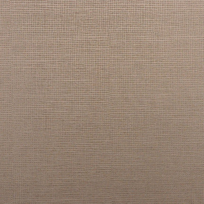 Allure Fabric