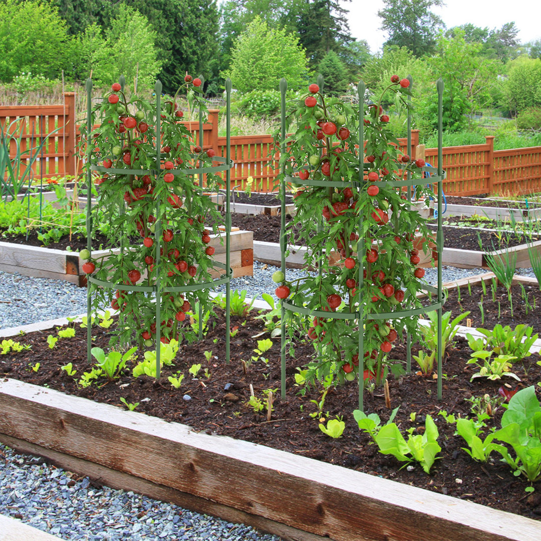Angellique 102cm H x 50cm W Metal Obelisk Trellis