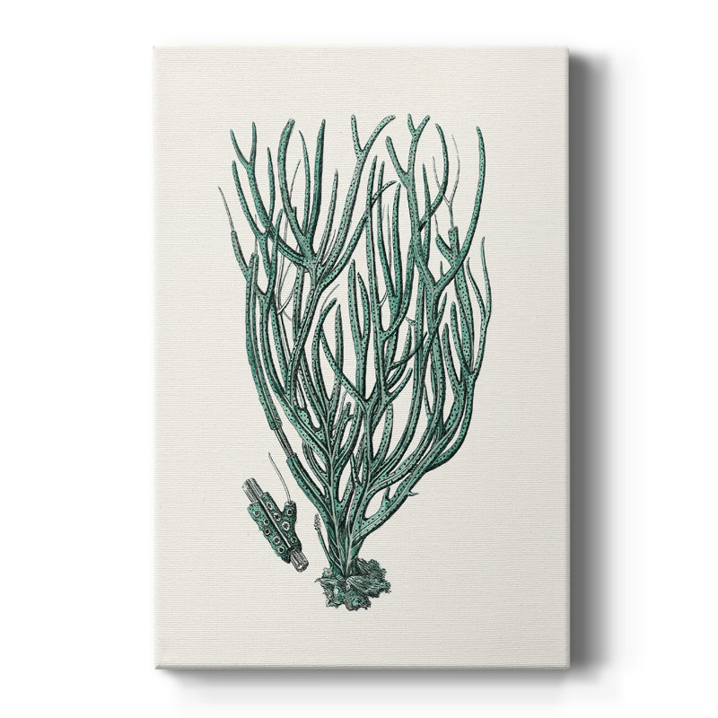 Corail antique antique - galerie Cavas sur mesure, H 12 po x l 8 po