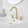 Widespread 2-handle Bathroom Faucet with Drain Assembly