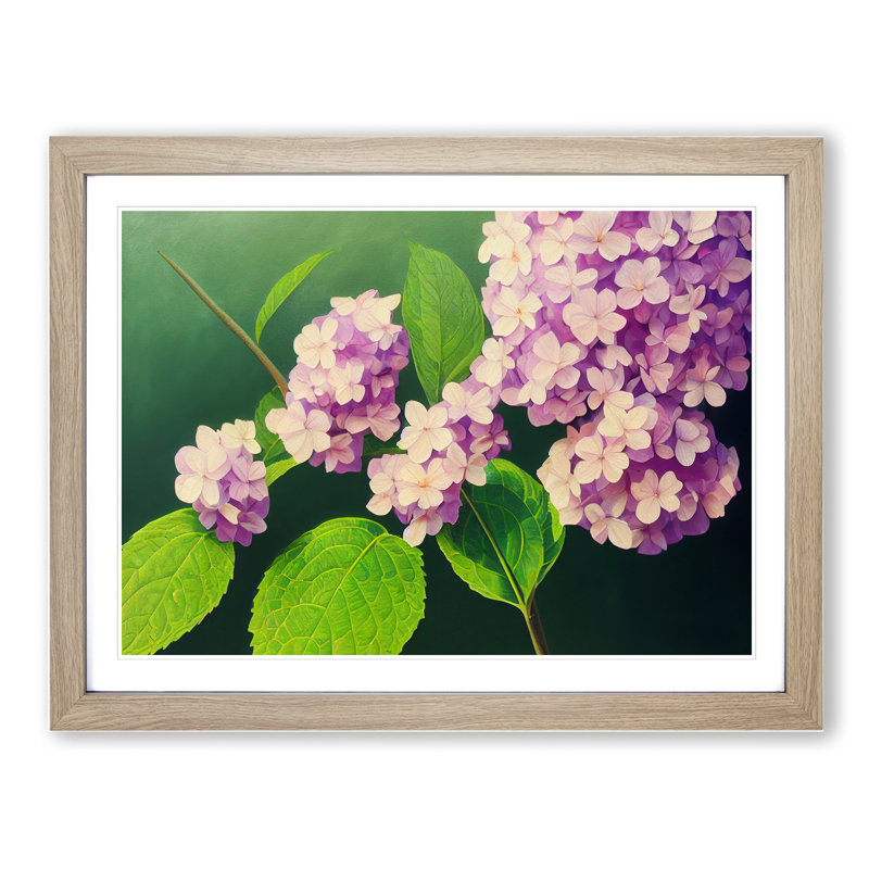 Gorgeous Hydrangea Flowers - Single Picture Frame Print, 25cm H x 34cm W x 2cm D, Oak Framed