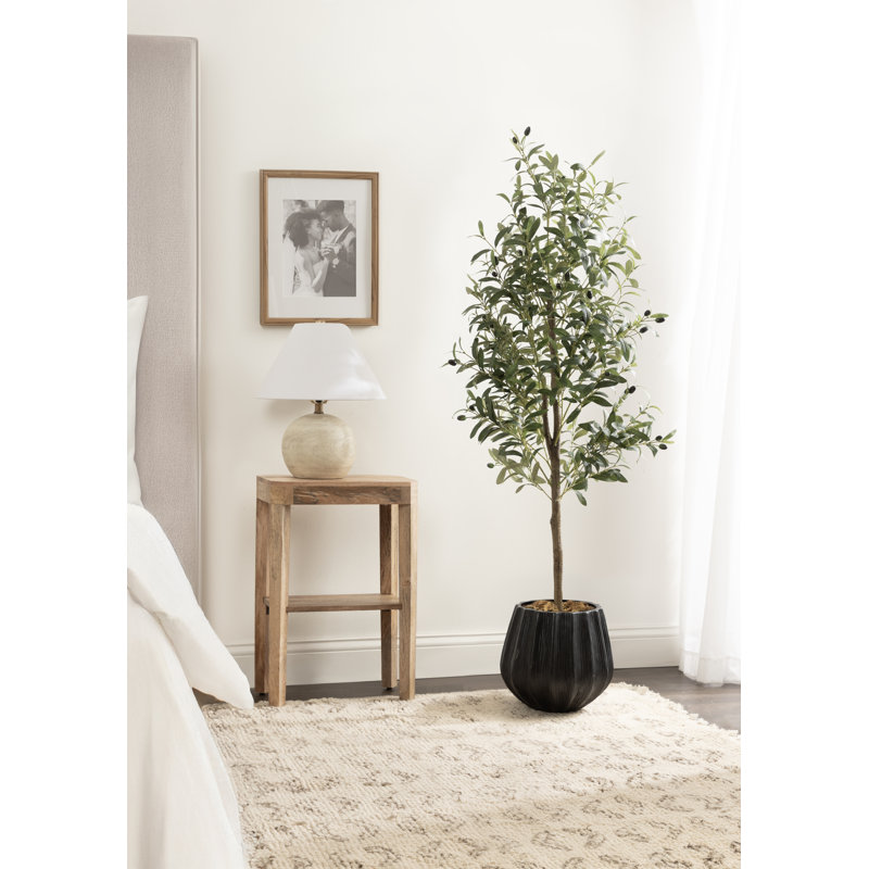 Oliveira moderne Oliveira avec pot de chambre de bébé et mousse ensachée, 60 po x 24 po, Blanc, Pot à fleurs festonné Claudel