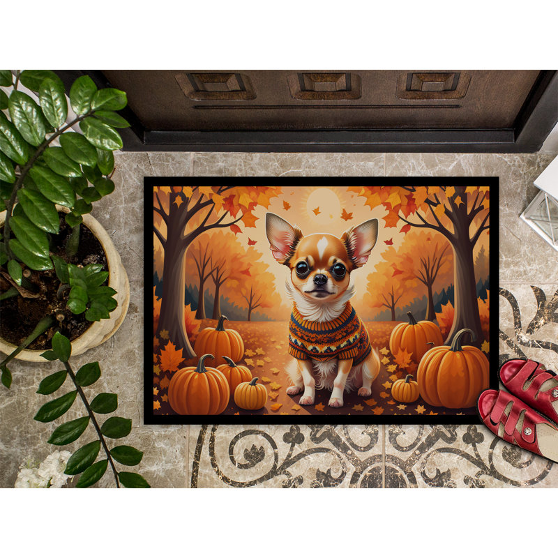 Tapis d'entrée / extérieur antidérapant Noblett, L 18 po x L 27 po