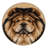 Washable Chow Chow Dogs Area Rug-1579171154