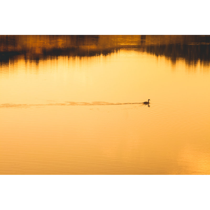 Pond At Sunrise Or Sunset - Wrapped Canvas Print, 81cm H x 122cm W