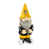 Penguins de Pittsburgh