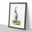 Great Kangaroo by George Shaw - Picture Frame Painting Print-55620761-55620759