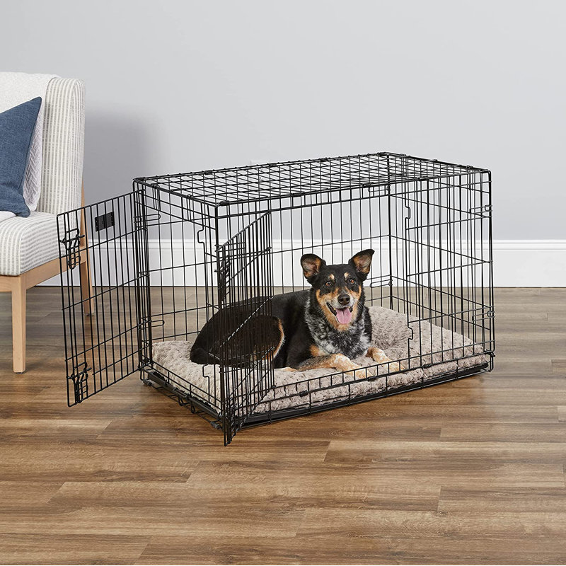 Cage pour chien Icrate