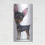 «Miniature Pinscher Blue Collar» par Danny Gordon