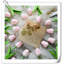 Tulip Arrangement-1226906766