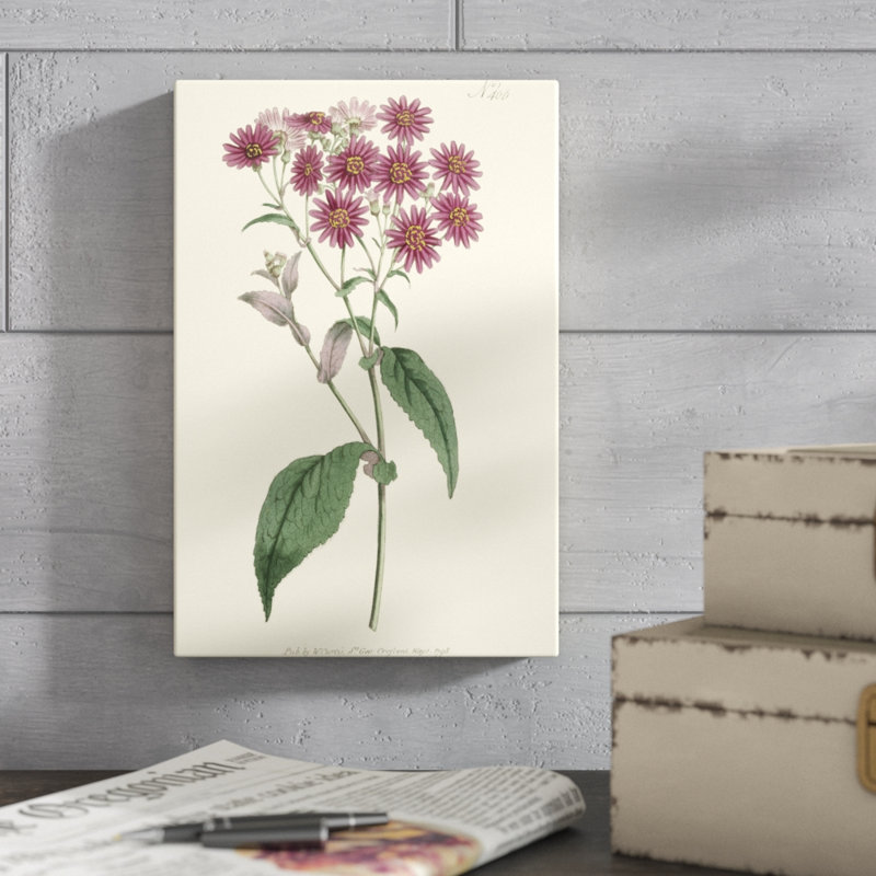 Mauve Beauty I by Curtis - Painting on Canvas, 30cm H x 20cm W, Wrapped Canvas