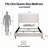 Chenille  Upholstered Wingback Bed-800990351