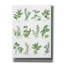 «August Herbe» par Chris Paschke-72011117