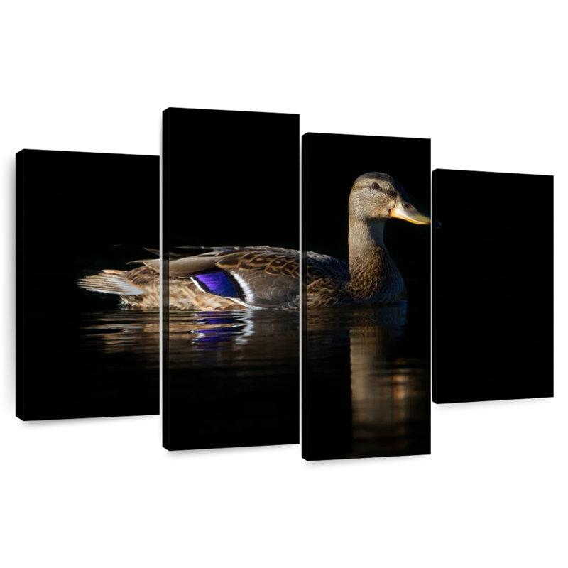 Brampt Swimming Mallard Duck, 27"H x 43"W