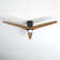 Montego 52'' Ceiling Fan with LED Lights