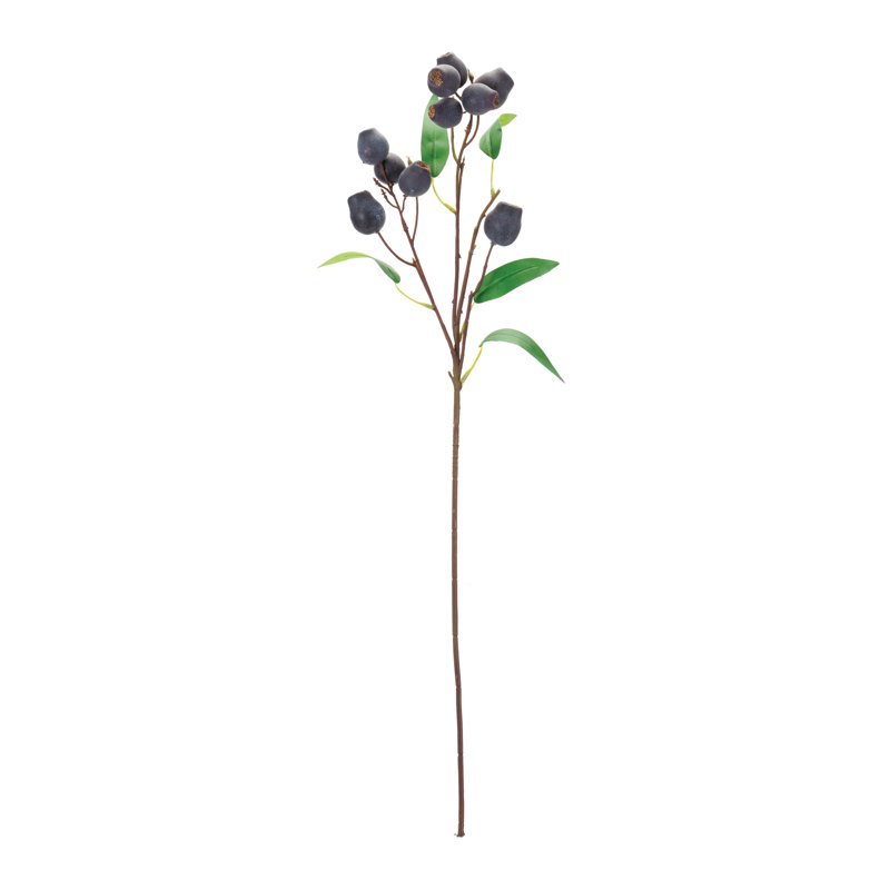 Tiges de prune