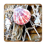 Wood Square 4 Piece Coaster Set