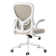 Ergonomic Polyurethane Task Chair
