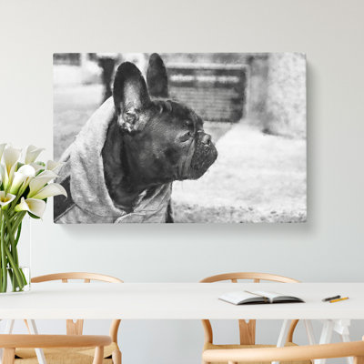 French Bulldog Vol.2 - Wrapped Canvas