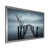 Silver Single Picture Framed