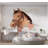Premium Wallpaper Wall Mural - Equestrian Rose-2027451632