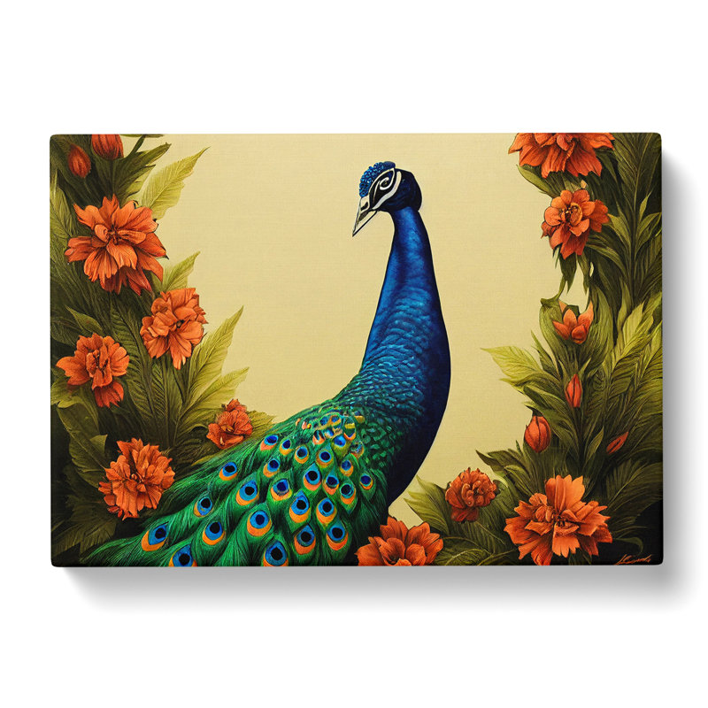 Pleasing Peacock - Wrapped Canvas, 50cm H x 76cm W x 3cm D