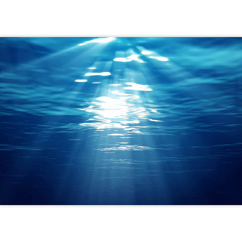 Nautical Ocean Peel & Stick Border, 100" L x 144" W