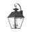 Pineville Wall Light-616744849