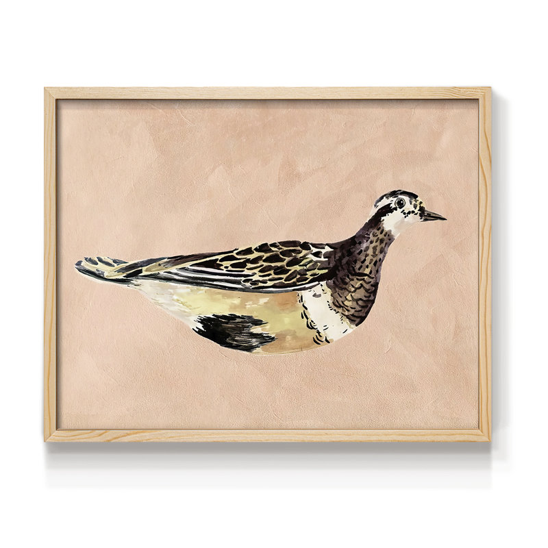 «Feathered Friend IV», reproduction encadrée, H 8 po x l 10 po, Naturel