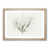 Oak Framed selected