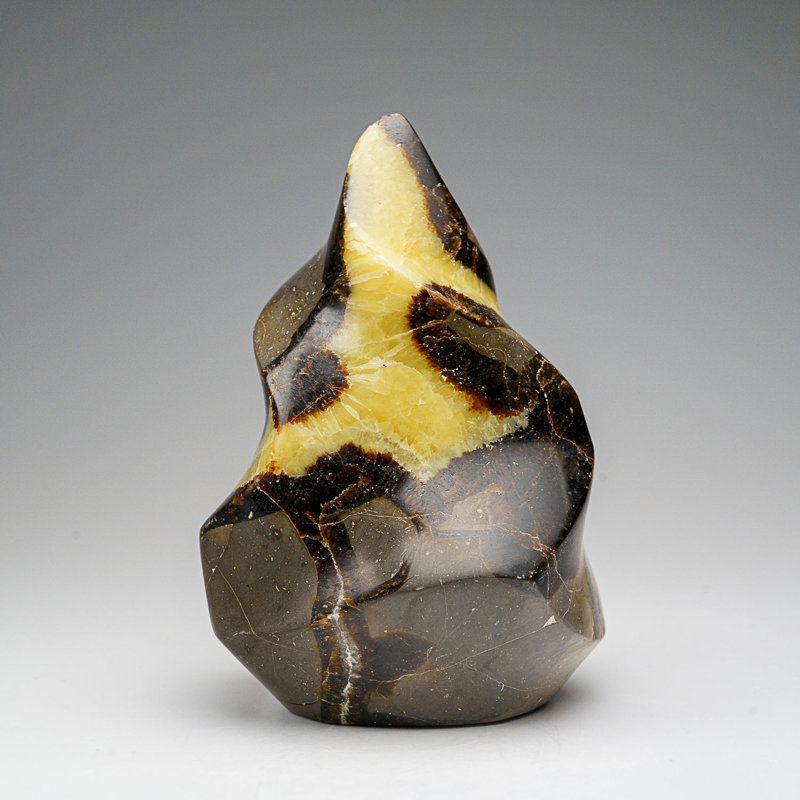 Polished Septarian Flame Freeform From Madagascar (1.6 Lbs)