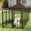 Chenil d'extérieur Canine Courtyard Deluxe