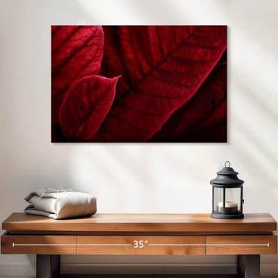 Red Poinsettia Bracts