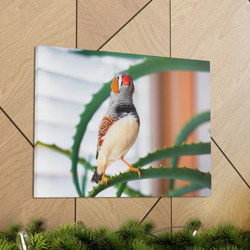 No Frame Print on Canvas, 27.94cm H x 35.56cm W