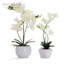 Orchidée artificielle dans un vase-64581341