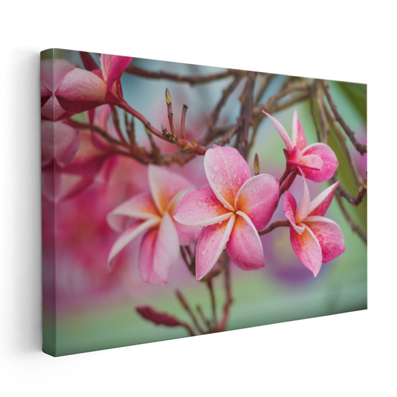 «Pink Frangipani Plumeria Flower», reproduction d'art sur toile, H 24 po x l 36 po