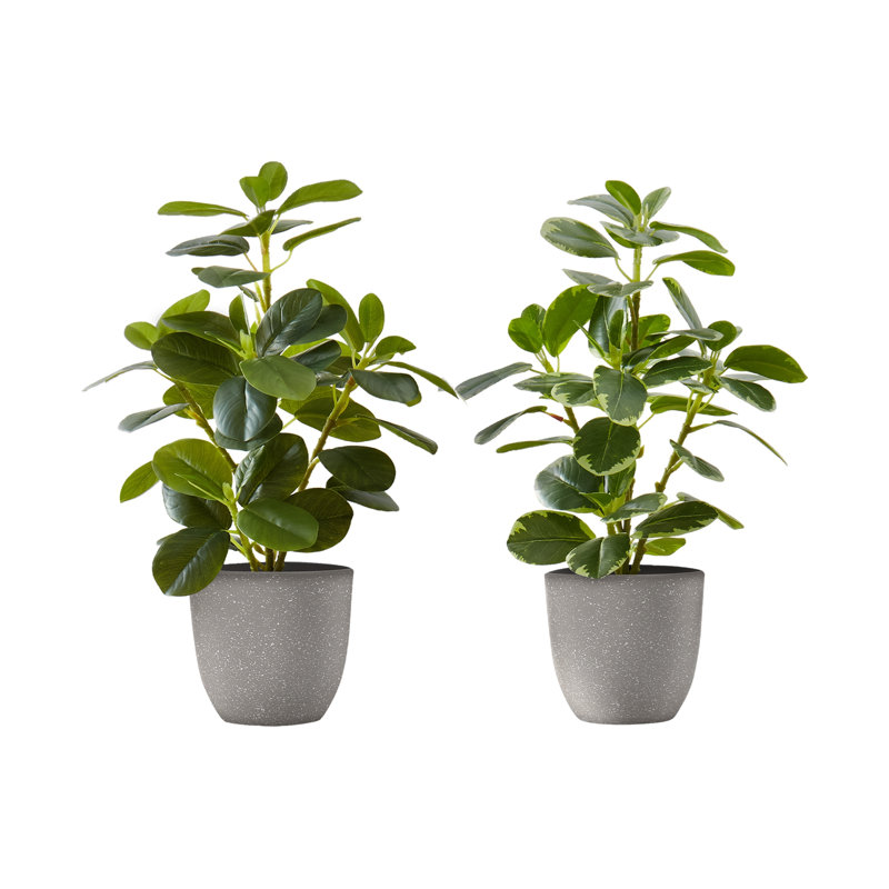 Plante artificielle, Gris