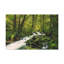 No Frame Print on Canvas-297426617