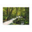 Wall Art on Canvas-297426617
