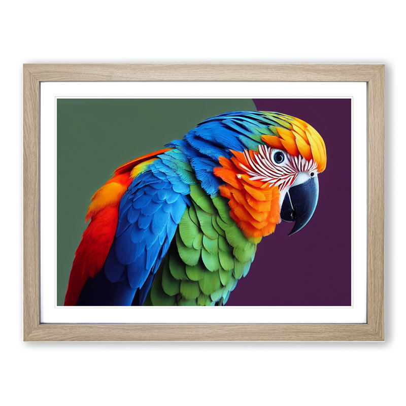 Colourful Parrot Portrait Vol.5 - Single Picture Frame Print, Oak Framed, 25cm H x 34cm W x 2cm D