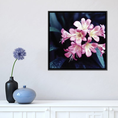 " Pink Blossom II " by PhotoINC Studio