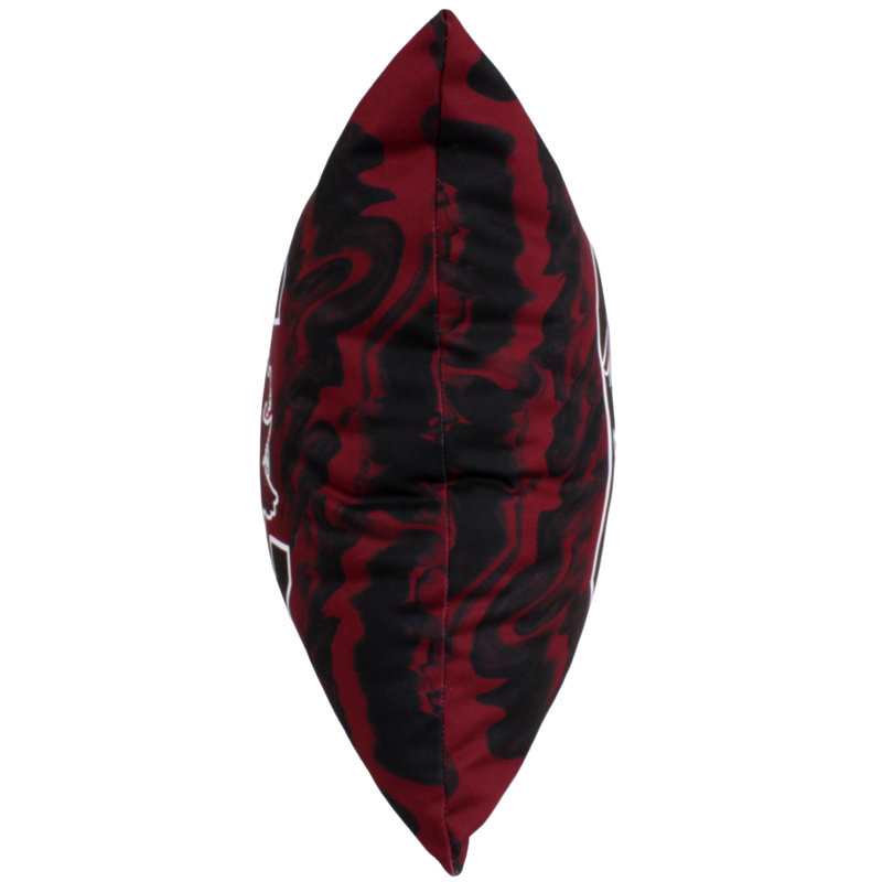 NCAA Throw Pillow, South Carolina Gamecocks