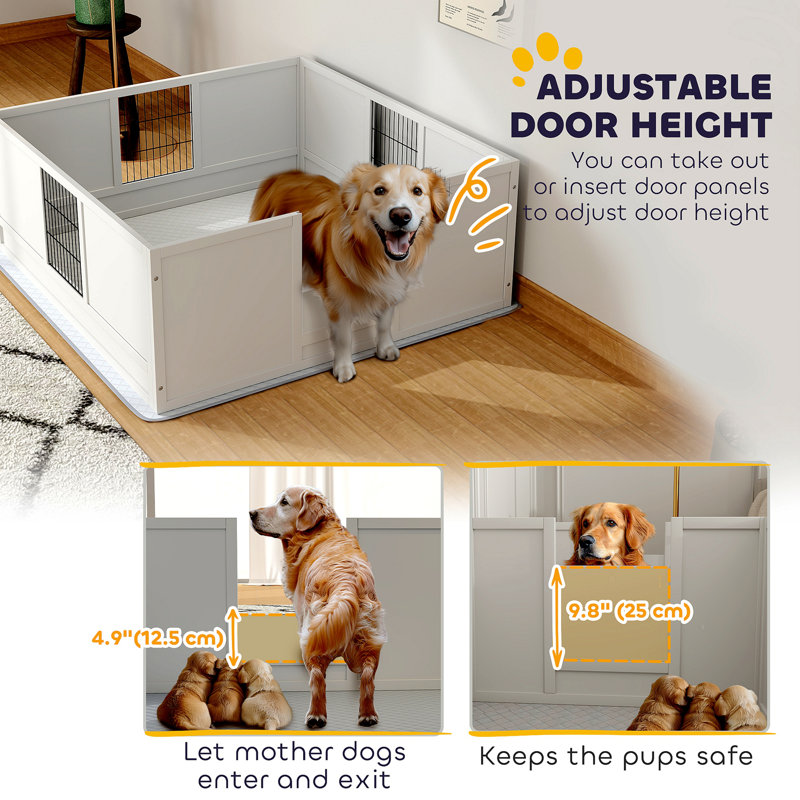 Dog Supplies Petco Dogs For Sale Near Me For Sale Petco Whelping