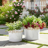 Planters Stoneware Ceramic Raised Leaf Accent Indoor Outdoor Home Garden Decor Set Of 2 - 8", 7" White
