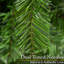 Artificial Christmas Tree-2084314296