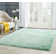 Delane Teal Area Rug