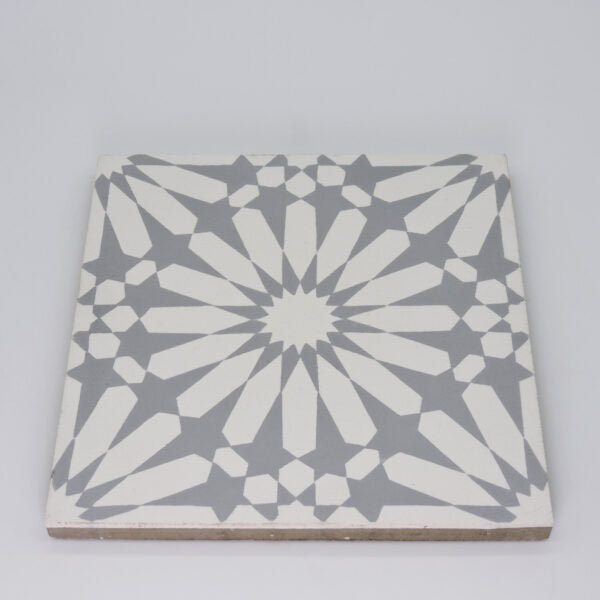 Alhambra 8" x 8" Cement Singular Wall and Floor Tile, Gray