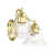 Polished Brass